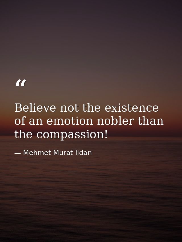 Believe not the existence of an emotion nobler than the compassion! — Mehmet Murat ildan