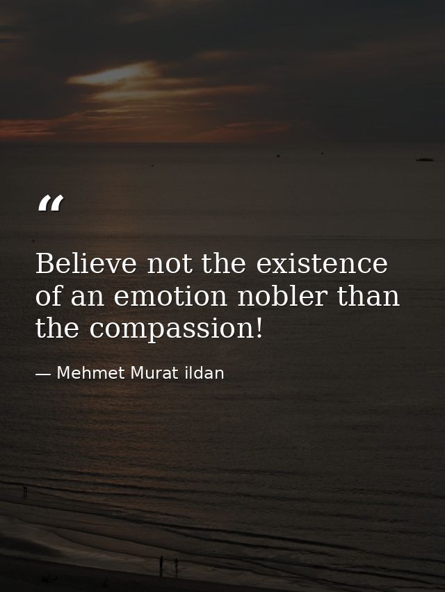 Believe not the existence of an emotion nobler than the compassion! — Mehmet Murat ildan