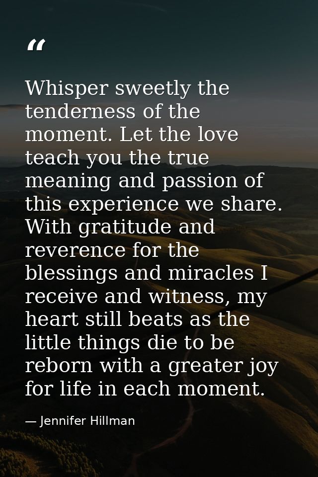 Whisper sweetly the tenderness of the moment. Let the love teach you the true meaning and passion of this experience we  — Jennifer Hillman