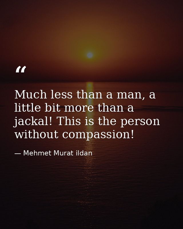 Much less than a man, a little bit more than a jackal! This is the person without compassion! — Mehmet Murat ildan
