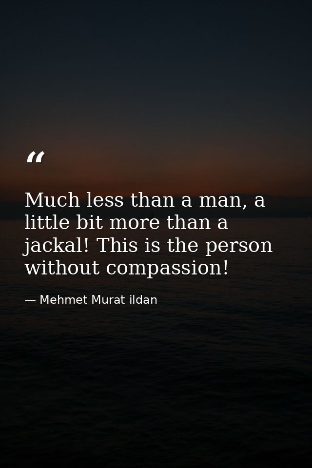 Much less than a man, a little bit more than a jackal! This is the person without compassion! — Mehmet Murat ildan