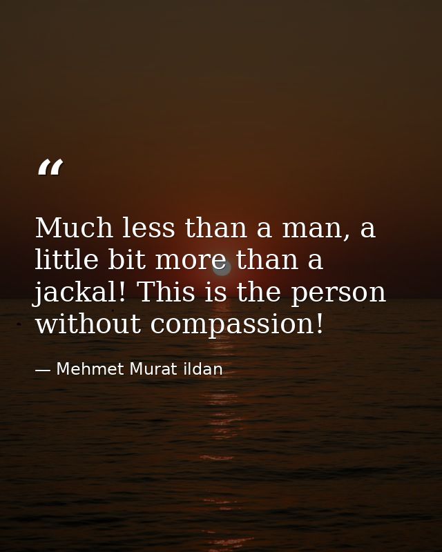 Much less than a man, a little bit more than a jackal! This is the person without compassion! — Mehmet Murat ildan