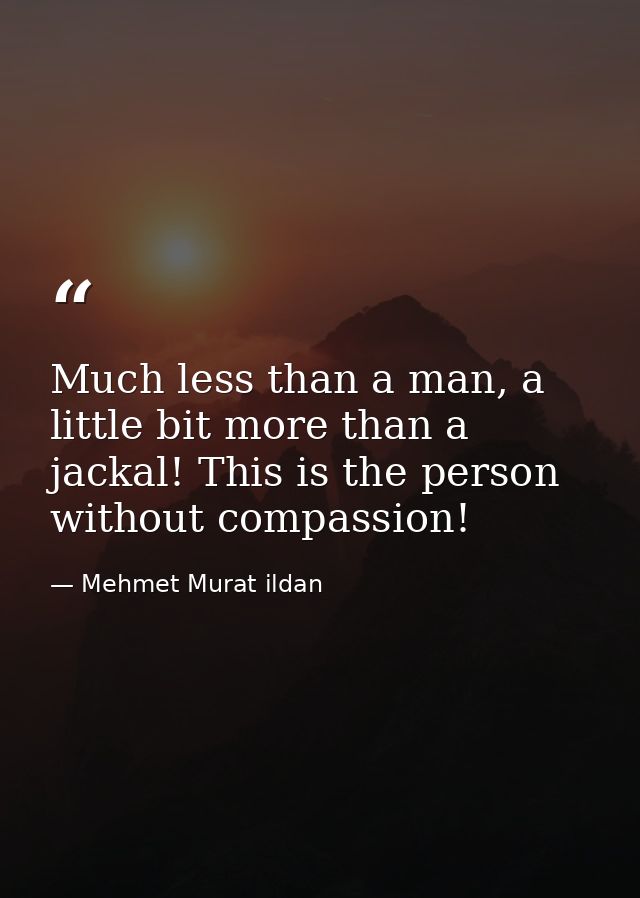 Much less than a man, a little bit more than a jackal! This is the person without compassion! — Mehmet Murat ildan