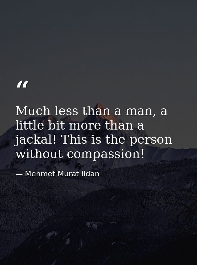 Much less than a man, a little bit more than a jackal! This is the person without compassion! — Mehmet Murat ildan
