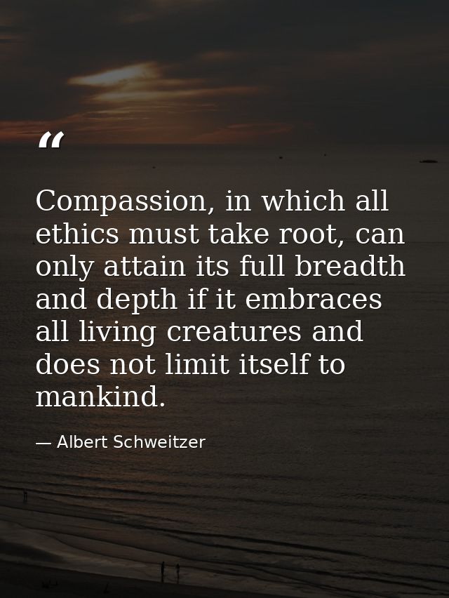 Compassion, in which all ethics must take root, can only attain its full breadth and depth if it embraces all living cre — Albert Schweitzer