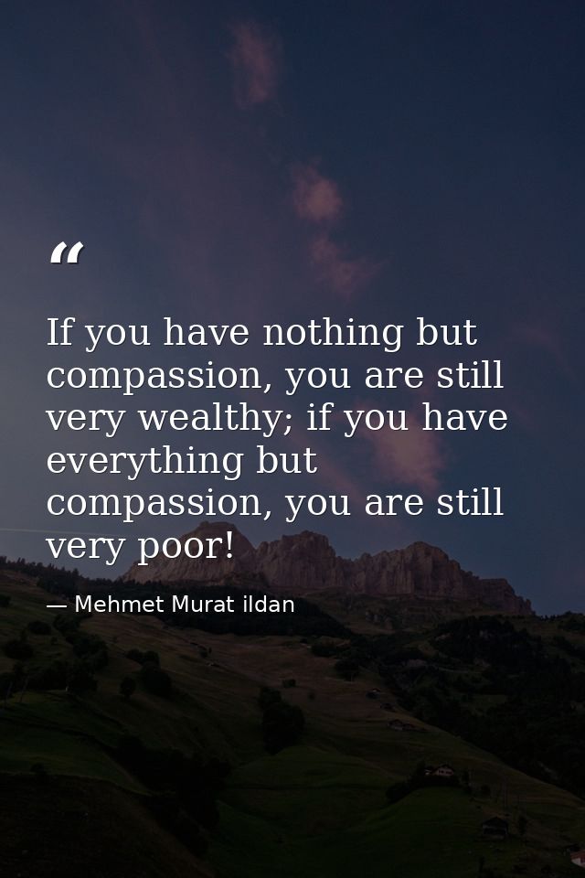 If you have nothing but compassion, you are still very wealthy; if you have everything but compassion, you are still ver — Mehmet Murat ildan