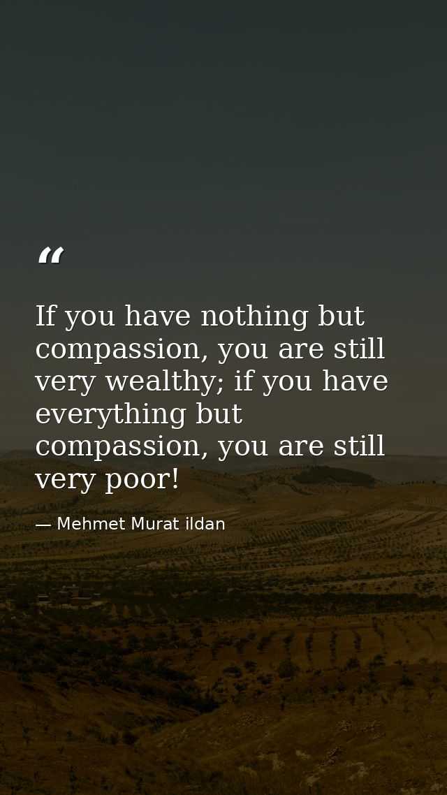 If you have nothing but compassion, you are still very wealthy; if you have everything but compassion, you are still ver — Mehmet Murat ildan