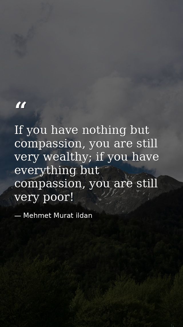 If you have nothing but compassion, you are still very wealthy; if you have everything but compassion, you are still ver — Mehmet Murat ildan