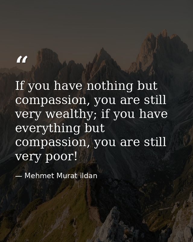 If you have nothing but compassion, you are still very wealthy; if you have everything but compassion, you are still ver — Mehmet Murat ildan