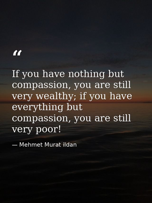 If you have nothing but compassion, you are still very wealthy; if you have everything but compassion, you are still ver — Mehmet Murat ildan