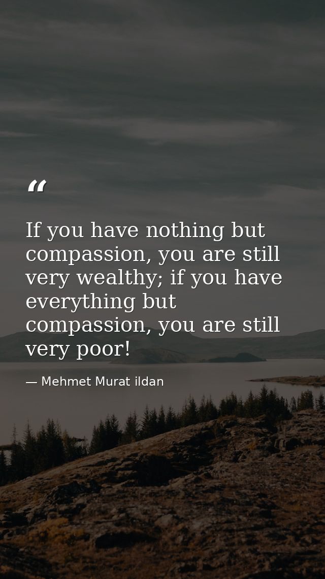 If you have nothing but compassion, you are still very wealthy; if you have everything but compassion, you are still ver — Mehmet Murat ildan