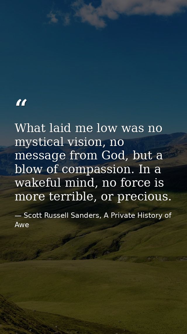 What laid me low was no mystical vision, no message from God, but a blow of compassion. In a wakeful mind, no force is m — Scott Russell Sanders, A Private History of Awe