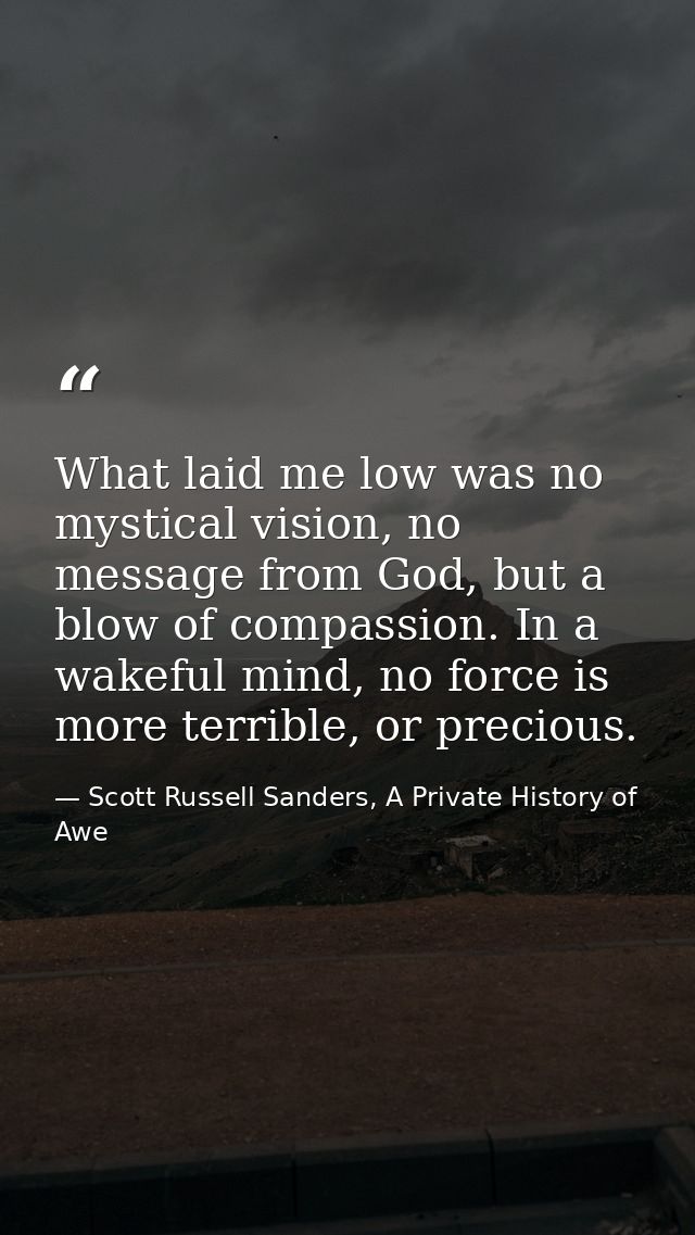 What laid me low was no mystical vision, no message from God, but a blow of compassion. In a wakeful mind, no force is m — Scott Russell Sanders, A Private History of Awe