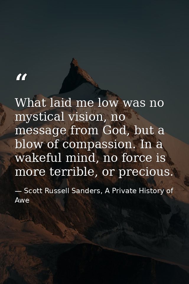 What laid me low was no mystical vision, no message from God, but a blow of compassion. In a wakeful mind, no force is m — Scott Russell Sanders, A Private History of Awe