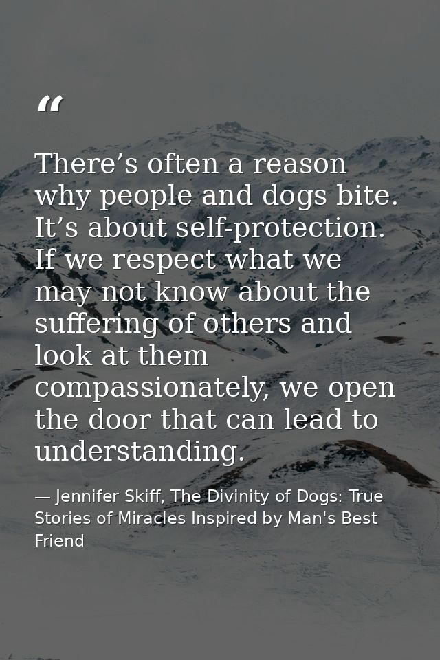 There’s often a reason why people and dogs bite. It’s about self-protection. If we respect what we may not know about th — Jennifer Skiff, The Divinity of Dogs: True Stories of Miracles Inspired by Man's Best Friend