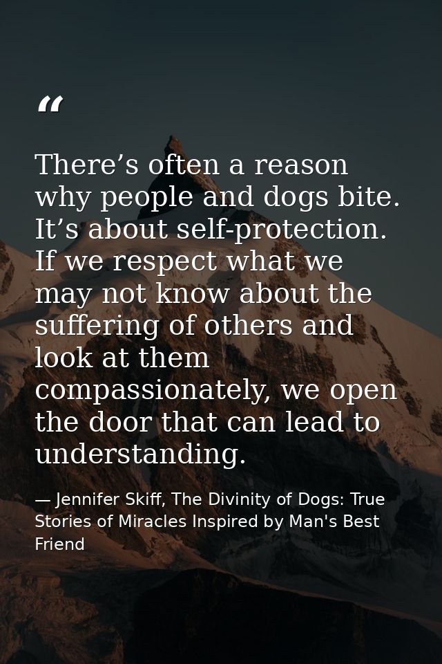 There’s often a reason why people and dogs bite. It’s about self-protection. If we respect what we may not know about th — Jennifer Skiff, The Divinity of Dogs: True Stories of Miracles Inspired by Man's Best Friend
