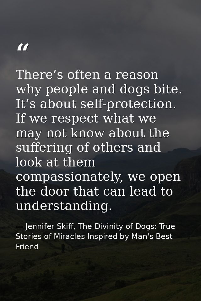 There’s often a reason why people and dogs bite. It’s about self-protection. If we respect what we may not know about th — Jennifer Skiff, The Divinity of Dogs: True Stories of Miracles Inspired by Man's Best Friend
