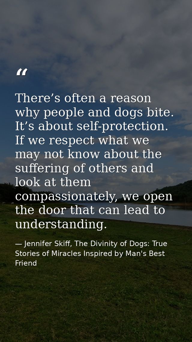 There’s often a reason why people and dogs bite. It’s about self-protection. If we respect what we may not know about th — Jennifer Skiff, The Divinity of Dogs: True Stories of Miracles Inspired by Man's Best Friend