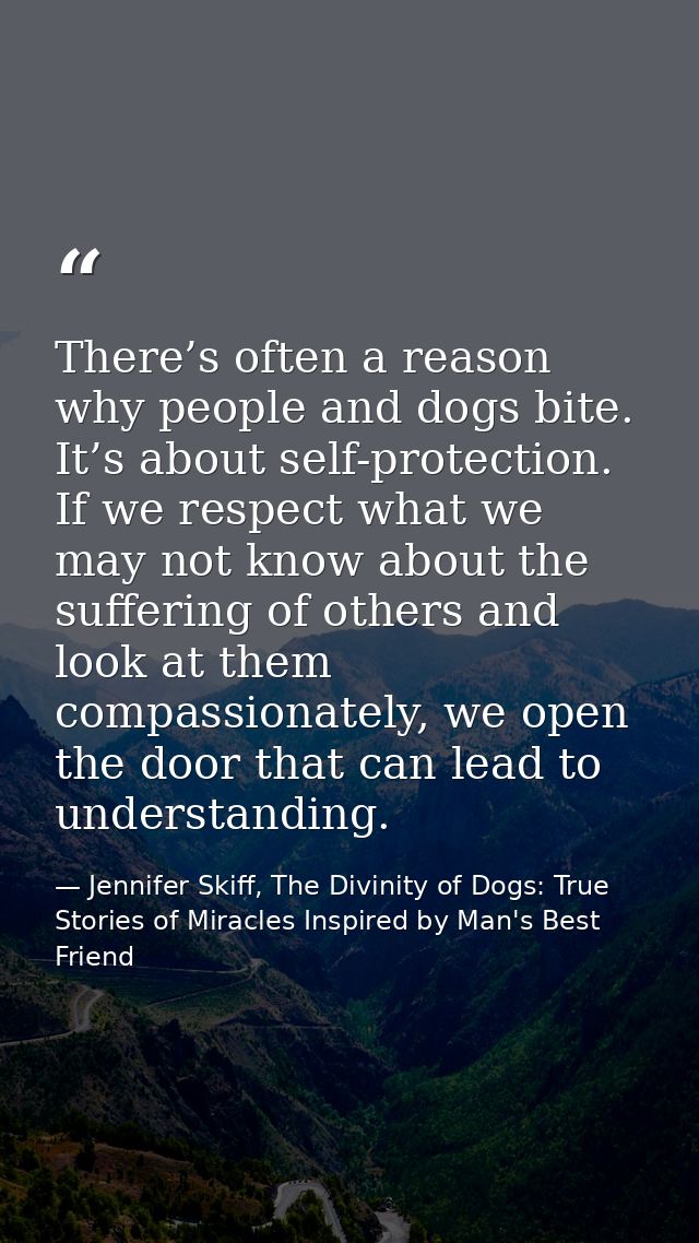 There’s often a reason why people and dogs bite. It’s about self-protection. If we respect what we may not know about th — Jennifer Skiff, The Divinity of Dogs: True Stories of Miracles Inspired by Man's Best Friend