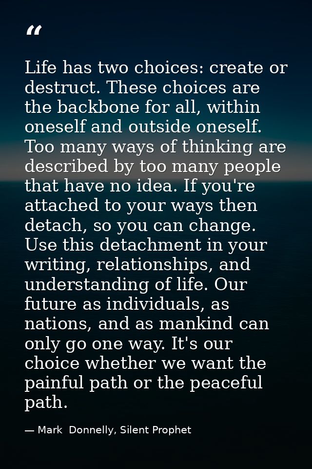 Life has two choices: create or destruct. These choices are the backbone for all, within oneself and outside oneself. To — Mark  Donnelly, Silent Prophet