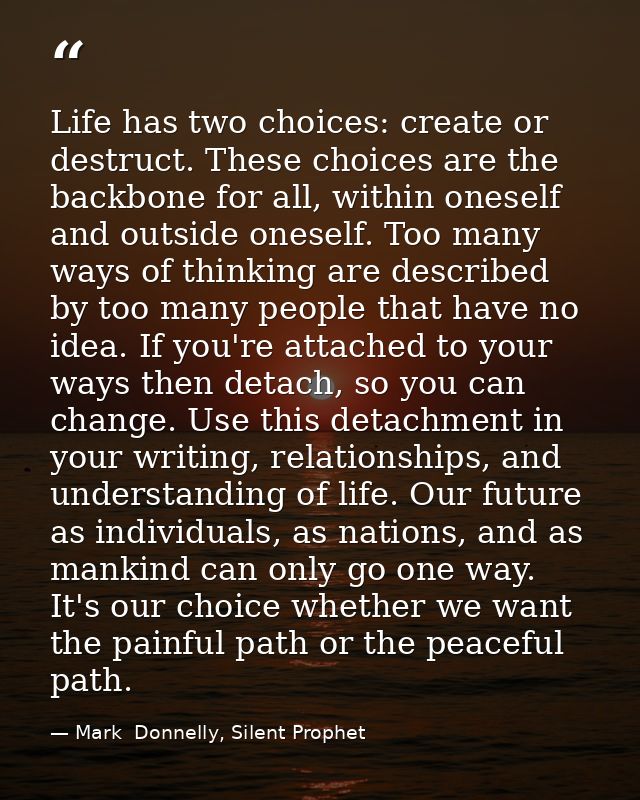Life has two choices: create or destruct. These choices are the backbone for all, within oneself and outside oneself. To — Mark  Donnelly, Silent Prophet