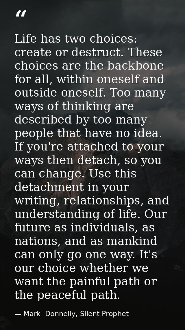 Life has two choices: create or destruct. These choices are the backbone for all, within oneself and outside oneself. To — Mark  Donnelly, Silent Prophet