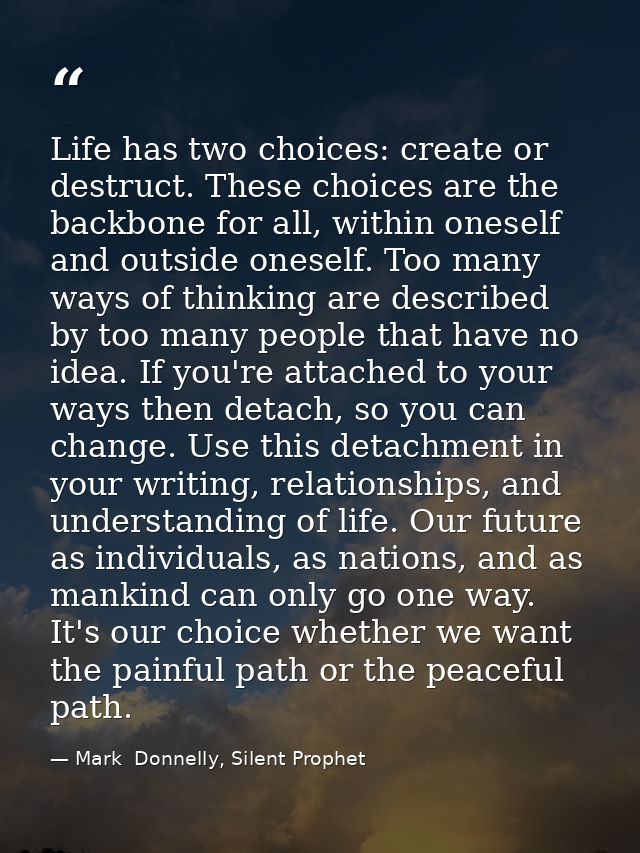 Life has two choices: create or destruct. These choices are the backbone for all, within oneself and outside oneself. To — Mark  Donnelly, Silent Prophet