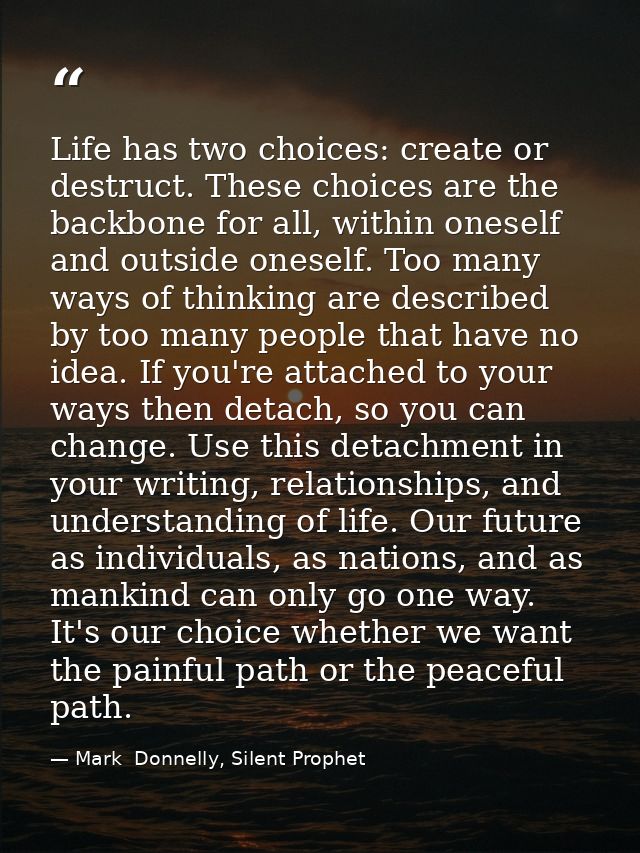 Life has two choices: create or destruct. These choices are the backbone for all, within oneself and outside oneself. To — Mark  Donnelly, Silent Prophet
