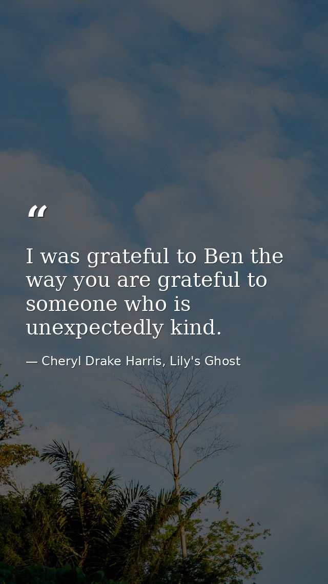 I was grateful to Ben the way you are grateful to someone who is unexpectedly kind. — Cheryl Drake Harris, Lily's Ghost
