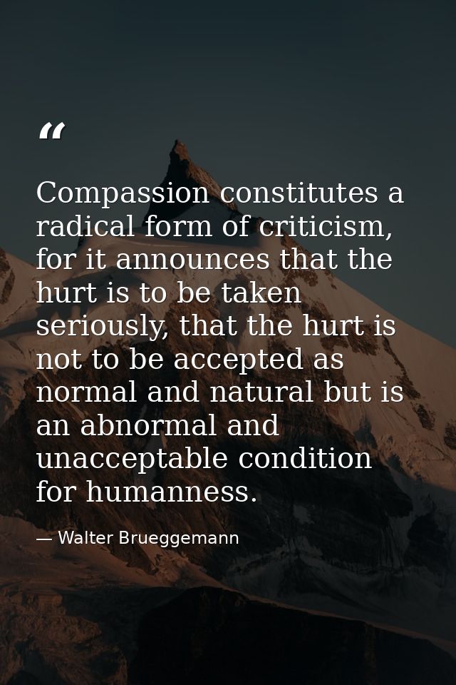 Compassion constitutes a radical form of criticism, for it announces that the hurt is to be taken seriously, that the hu — Walter Brueggemann