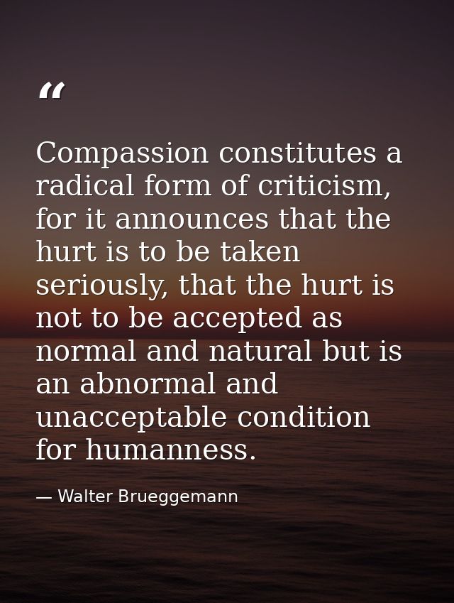 Compassion constitutes a radical form of criticism, for it announces that the hurt is to be taken seriously, that the hu — Walter Brueggemann