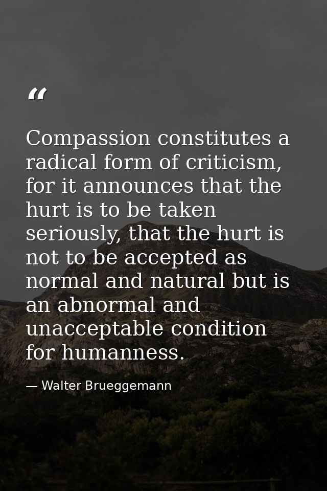 Compassion constitutes a radical form of criticism, for it announces that the hurt is to be taken seriously, that the hu — Walter Brueggemann