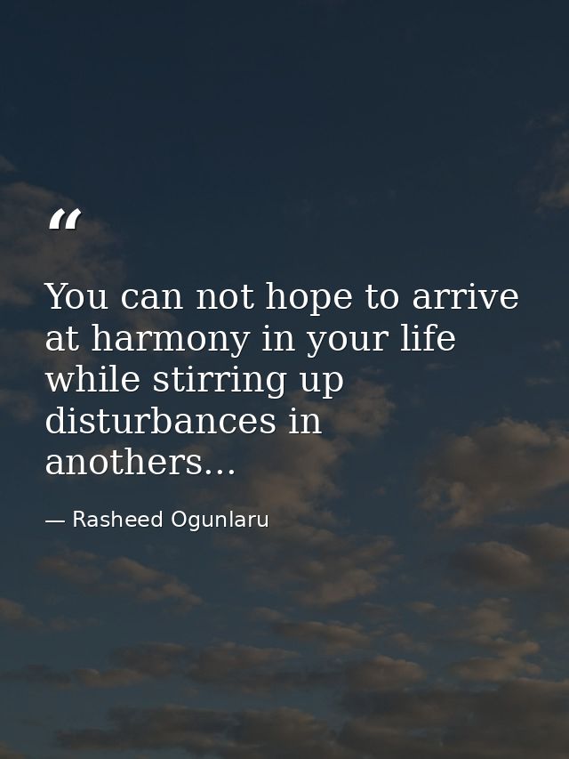 You can not hope to arrive at harmony in your life while stirring up disturbances in anothers... — Rasheed Ogunlaru