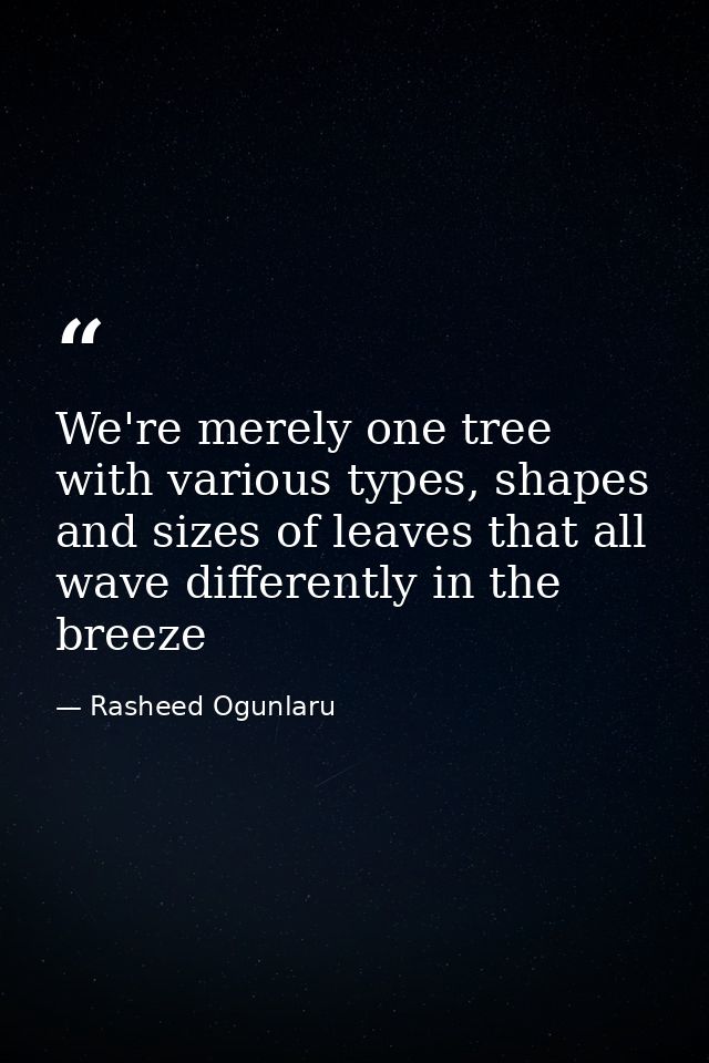 We're merely one tree with various types, shapes and sizes of leaves that all wave differently in the breeze — Rasheed Ogunlaru