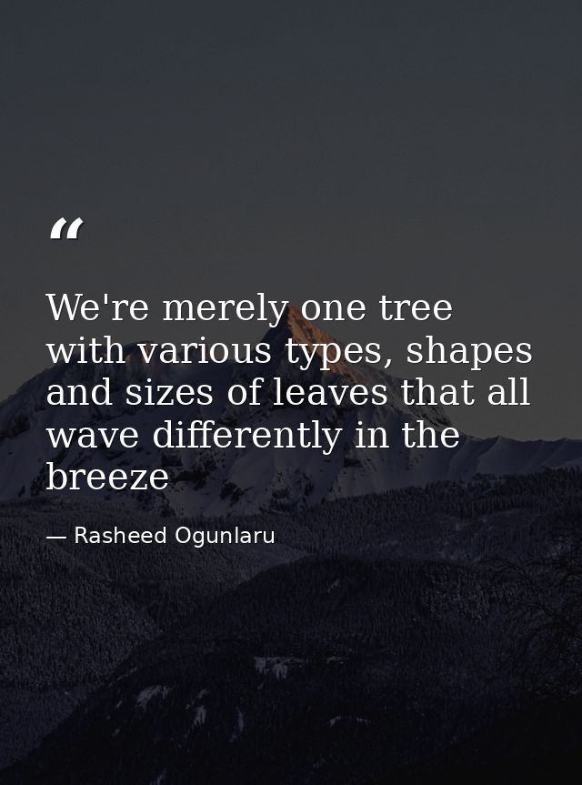 We're merely one tree with various types, shapes and sizes of leaves that all wave differently in the breeze — Rasheed Ogunlaru