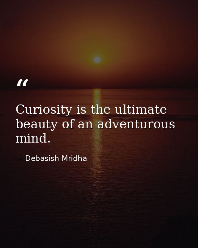 Curiosity is the ultimate beauty of an adventurous mind. — Debasish Mridha