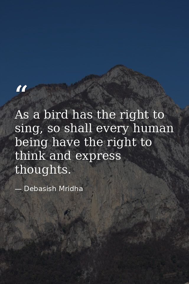 As a bird has the right to sing, so shall every human being have the right to think and express thoughts. — Debasish Mridha