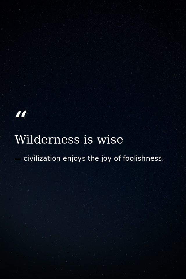 Wilderness is wise — civilization enjoys the joy of foolishness.