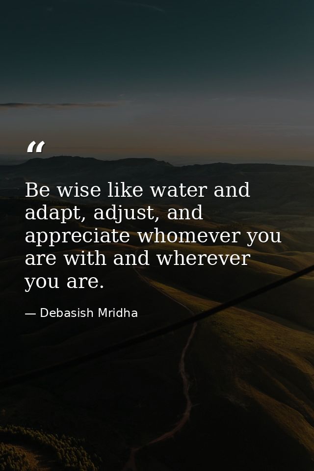 Be wise like water and adapt, adjust, and appreciate whomever you are with and wherever you are. — Debasish Mridha