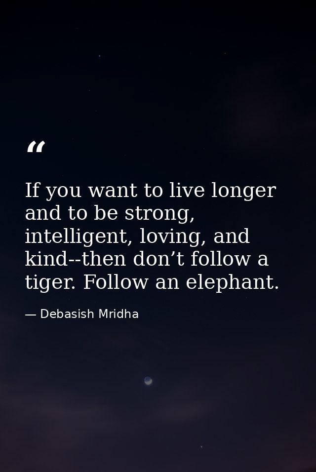 If you want to live longer and to be strong, intelligent, loving, and kind--then don’t follow a tiger. Follow an elephan — Debasish Mridha