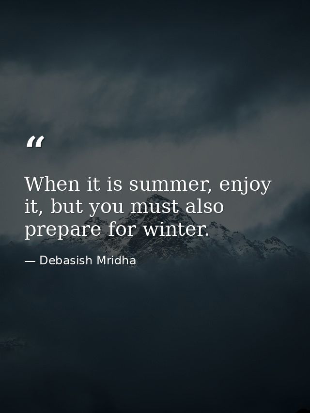 When it is summer, enjoy it, but you must also prepare for winter. — Debasish Mridha