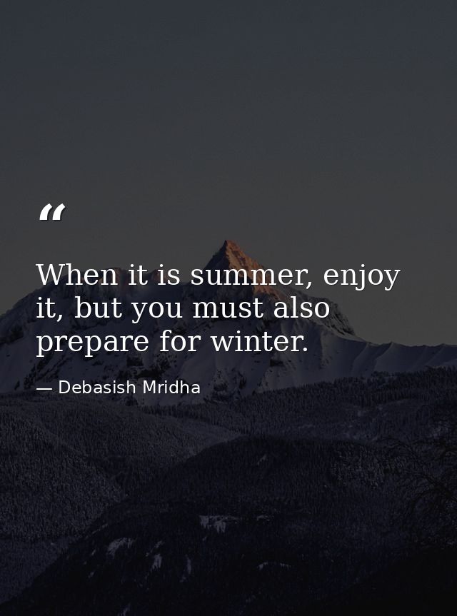 When it is summer, enjoy it, but you must also prepare for winter. — Debasish Mridha