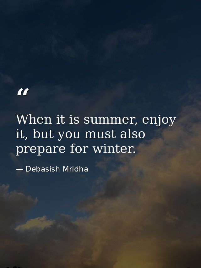 When it is summer, enjoy it, but you must also prepare for winter. — Debasish Mridha