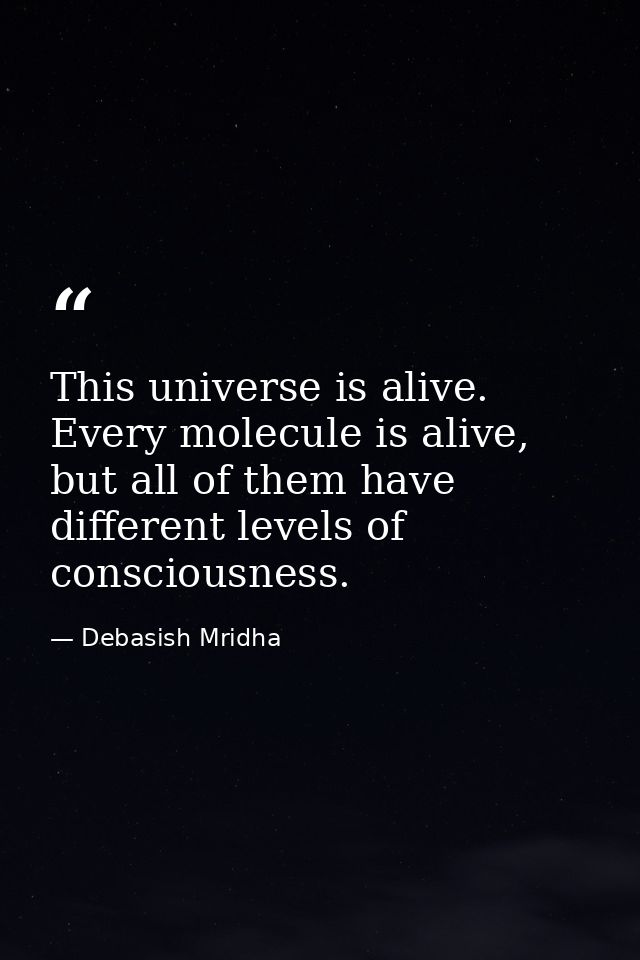 This universe is alive. Every molecule is alive, but all of them have different levels of consciousness. — Debasish Mridha