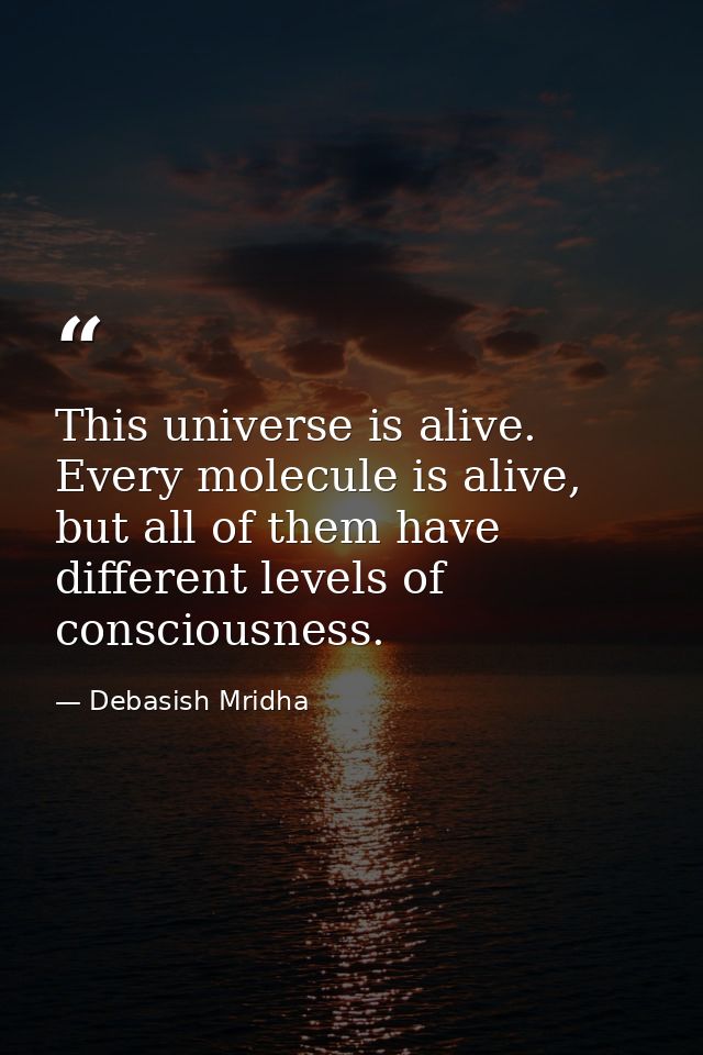 This universe is alive. Every molecule is alive, but all of them have different levels of consciousness. — Debasish Mridha