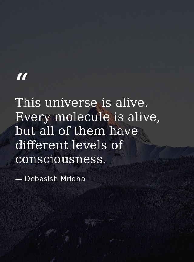 This universe is alive. Every molecule is alive, but all of them have different levels of consciousness. — Debasish Mridha