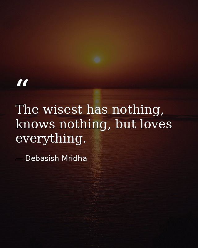 The wisest has nothing, knows nothing, but loves everything. — Debasish Mridha