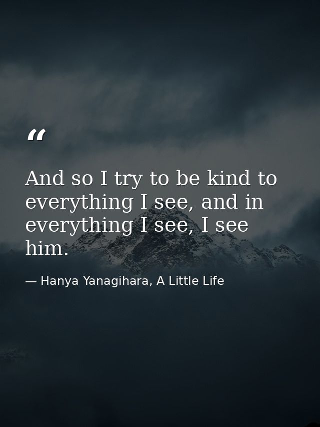 And so I try to be kind to everything I see, and in everything I see, I see him. — Hanya Yanagihara, A Little Life