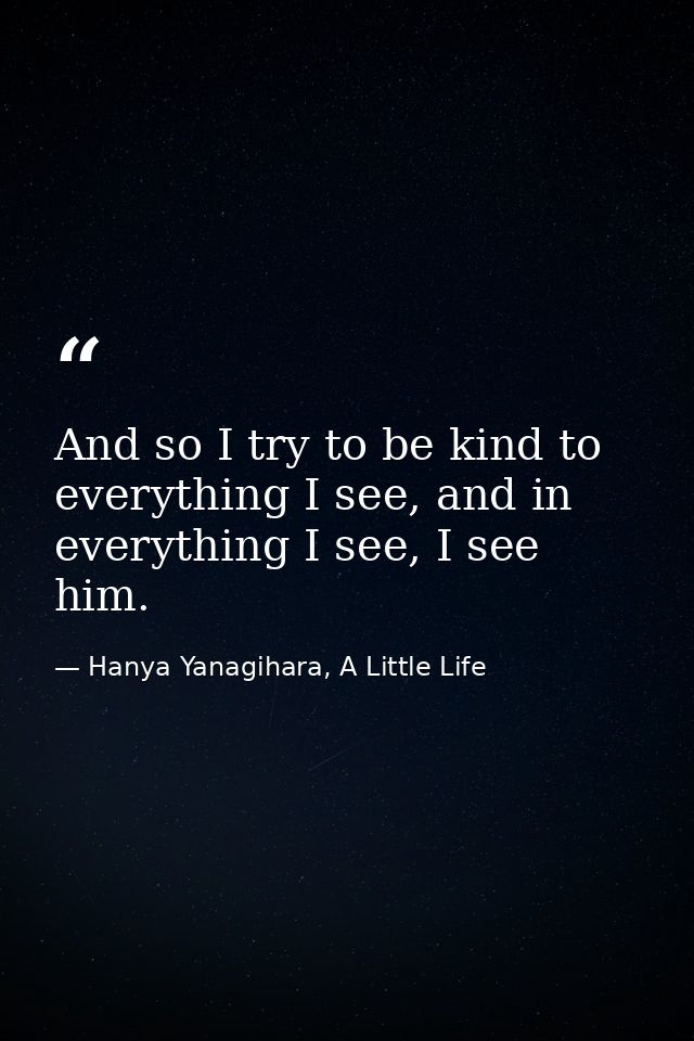 And so I try to be kind to everything I see, and in everything I see, I see him. — Hanya Yanagihara, A Little Life