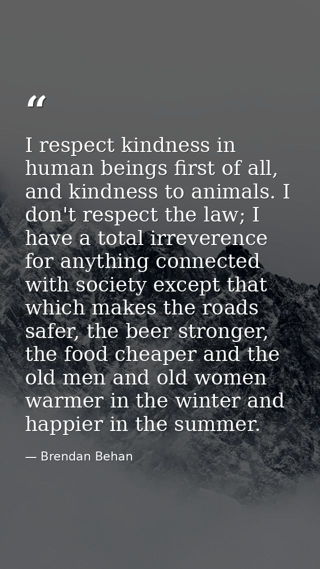 I respect kindness in human beings first of all, and kindness to animals. I don't respect the law; I have a total irreve — Brendan Behan